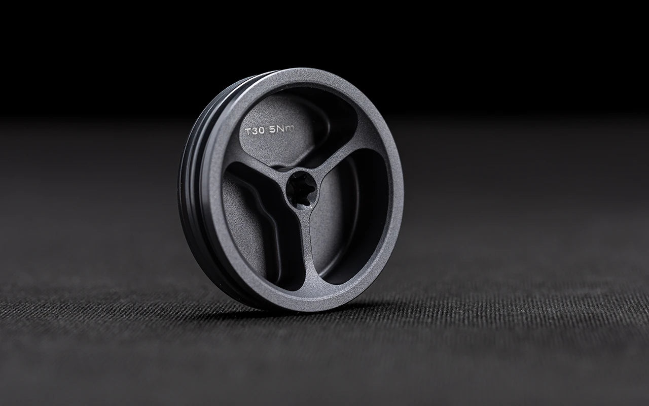 Stark Future Swingarm side cap Aluminum