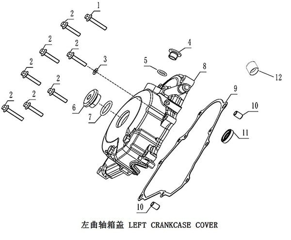 450 Rally – Left Crankcase Cover