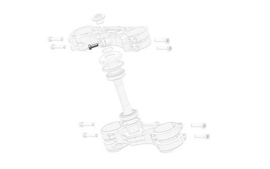 Stark Future Steering clamp bolt