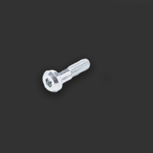 Sur-Ron LBX LB Side Stand Bolt