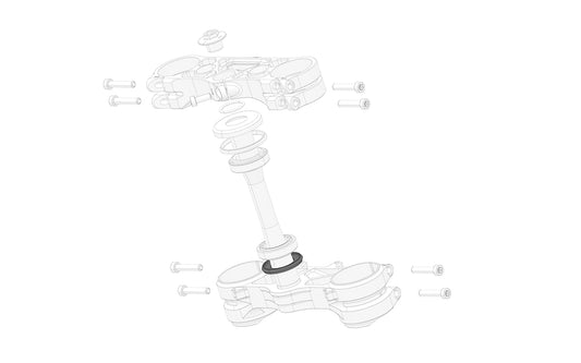 Stark Future Steering head bearing lower seal