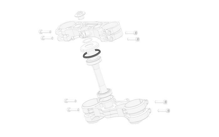 Top steering head bearing seal ring